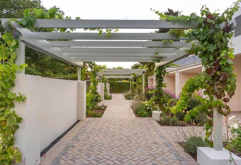 ファミリールーム, Monte Vista Boutique