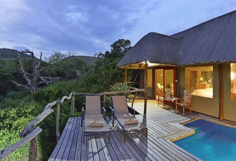 Superior Tent, Shamwari Bayethe