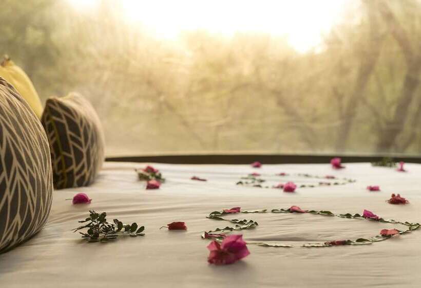 Superior Tent, Shamwari Bayethe