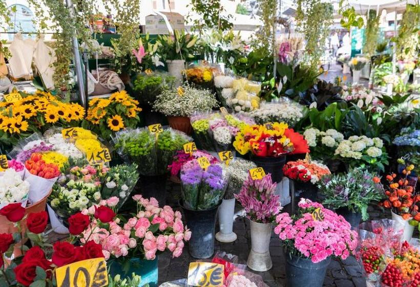 חדר אקונומי, Giubbonari Suites