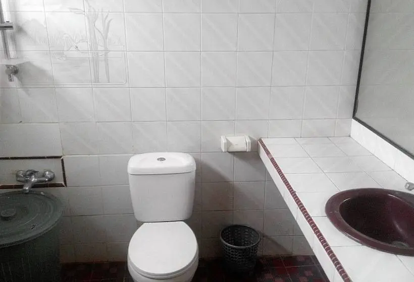 Deluxe-huone Järvinäkymä, Melissa Palace Hotel And Karaoke