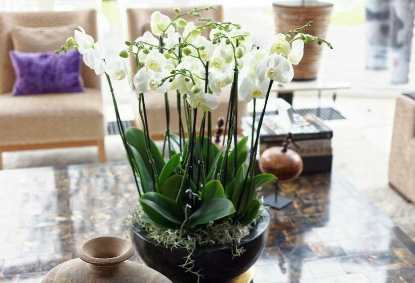 标准房带园景, Villa Tiffany