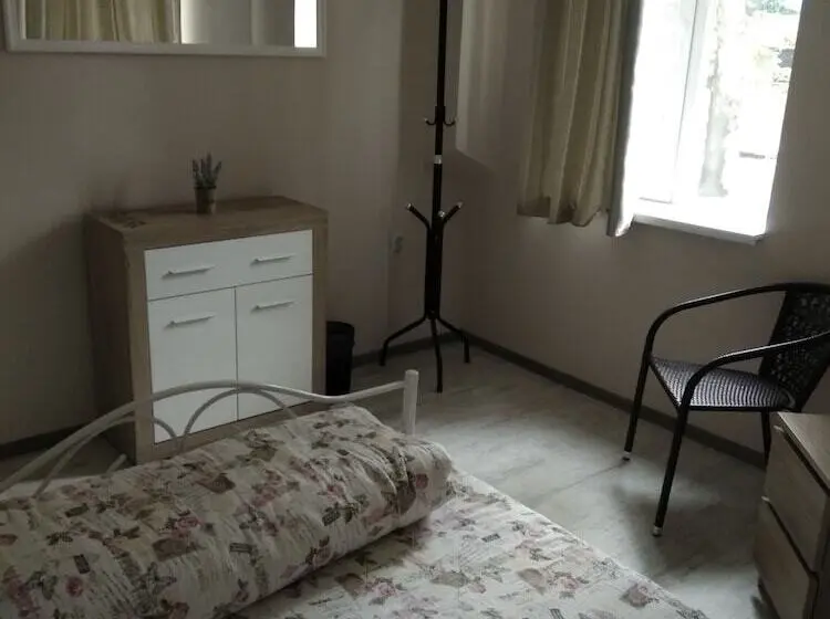 اتاق کلاسیک با تخت دوبل, Hostel Ginger House