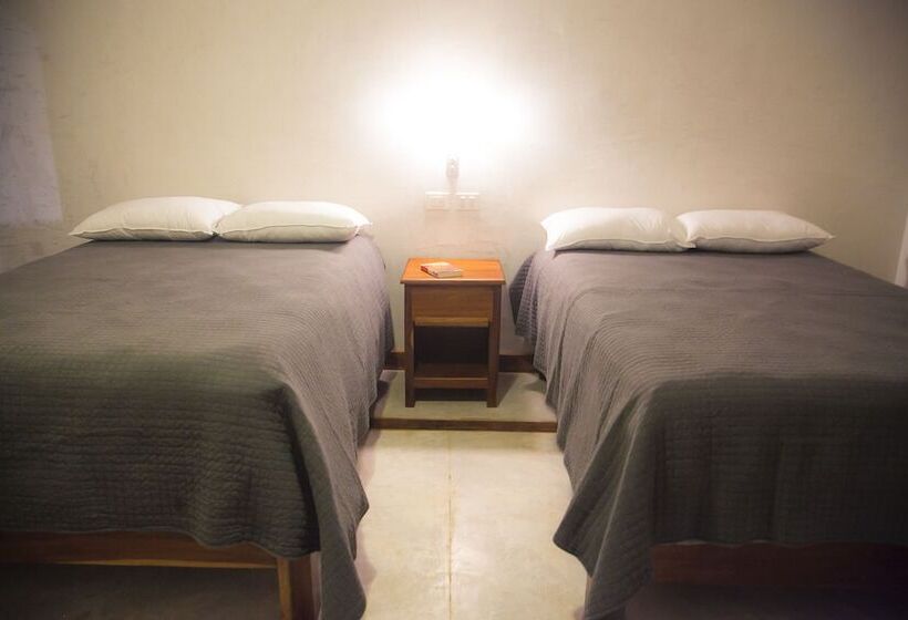 חדר דלוקס נוף בריכה, Solera Tulum With Pool