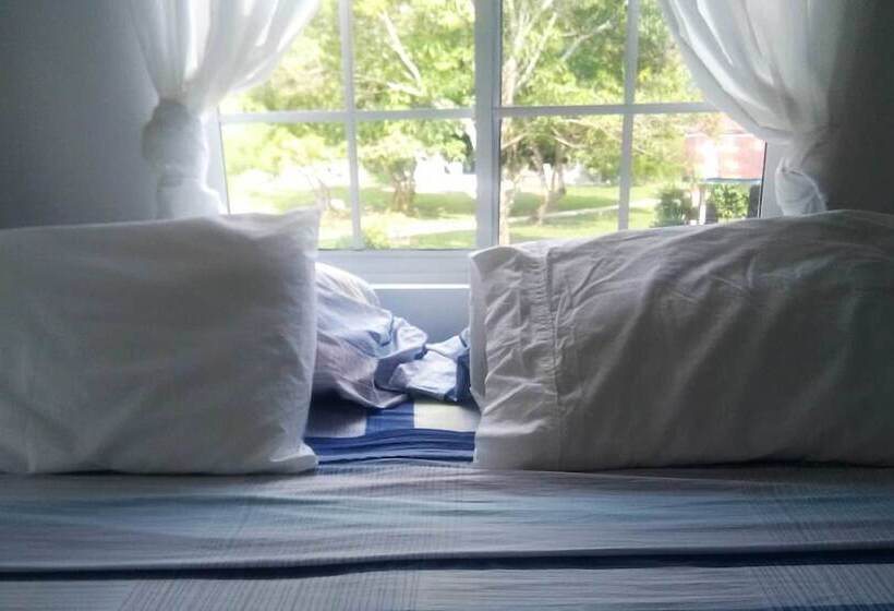 Chambre Deluxe Vue Jardin, Cozy Coco