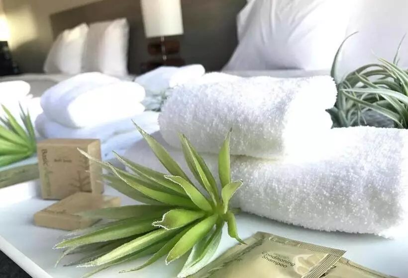 اتاق استاندارد با تخت بزرگ, Airport Inn