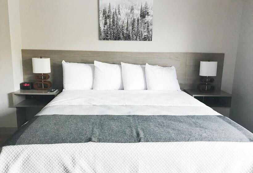 스탠다드 룸 킹사이즈 침대, Airport Inn