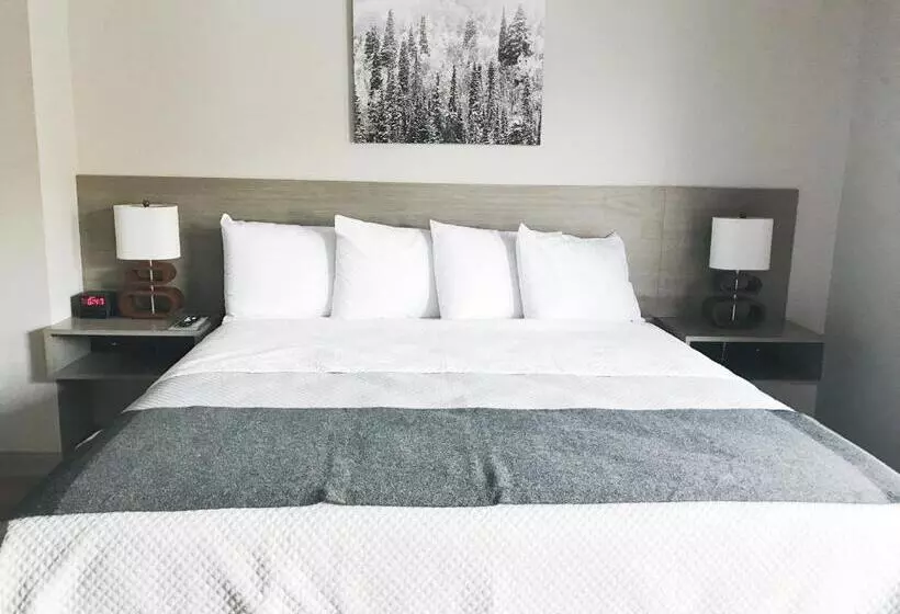 اتاق استاندارد با تخت بزرگ, Airport Inn