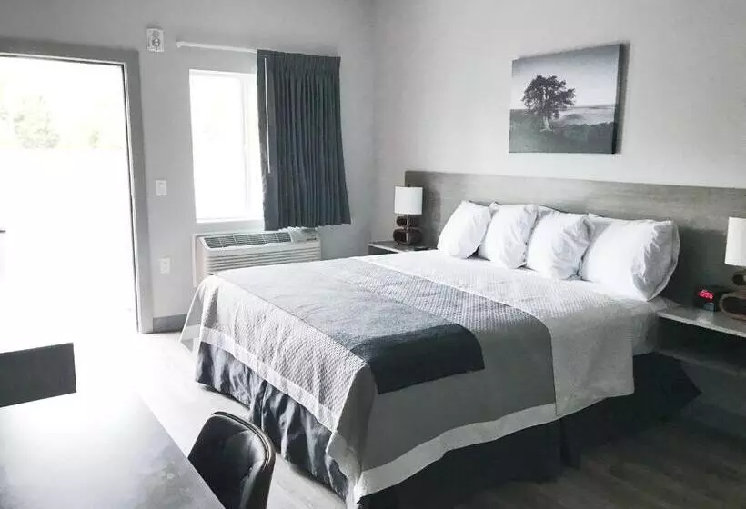 اتاق استاندارد با تخت بزرگ, Airport Inn