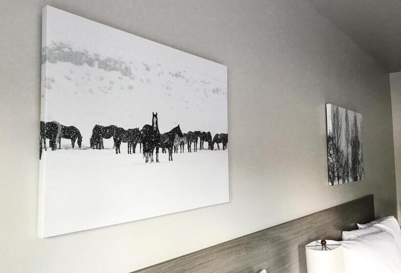 غرفة قياسية, Airport Inn