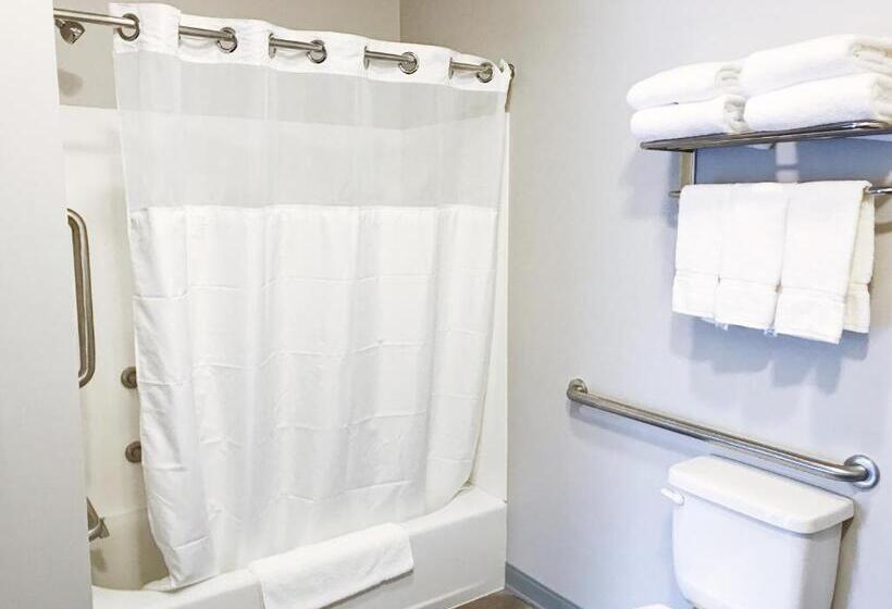 غرفة قياسية سرير كينج لذوى الإحتياجات الخاصة, Airport Inn