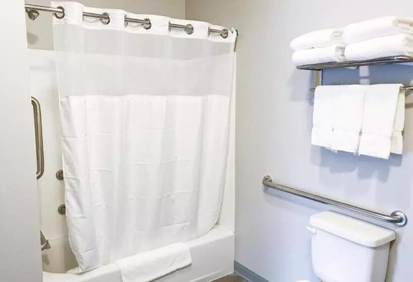 اتاق استاندارد با تخت بزرگ برای معلولان, Airport Inn