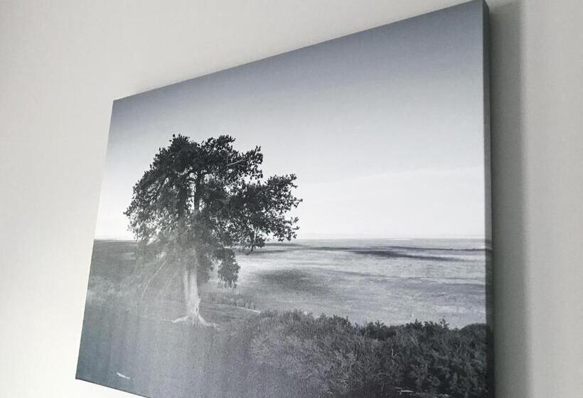 غرفة قياسية سرير كينج لذوى الإحتياجات الخاصة, Airport Inn