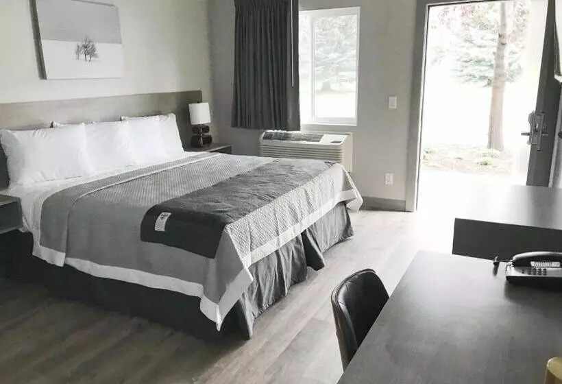 اتاق استاندارد با تخت بزرگ برای معلولان, Airport Inn