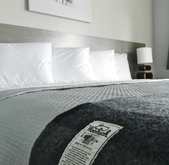 غرفة ديلوكس, Airport Inn