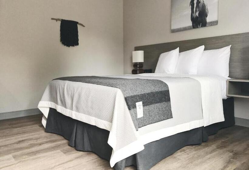 غرفة ديلوكس, Airport Inn