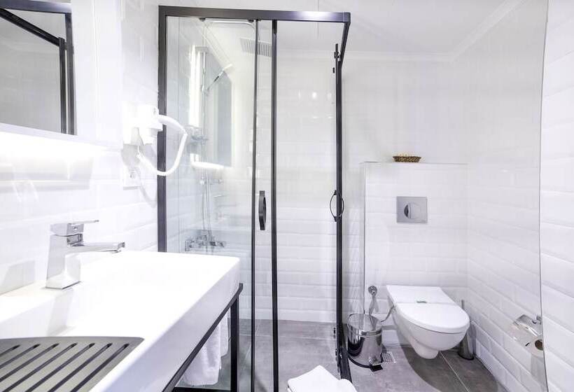 اتاق استاندارد سه نفره, Barin