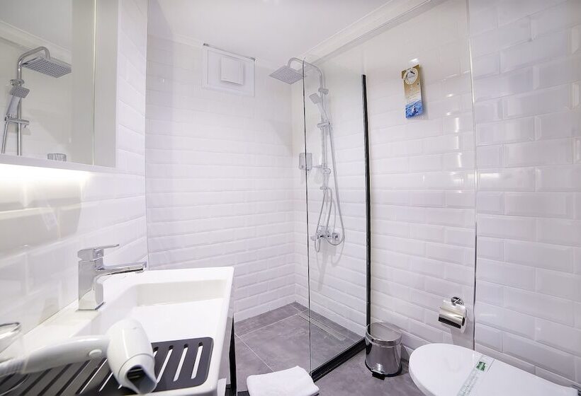 اتاق استاندارد سه نفره, Barin