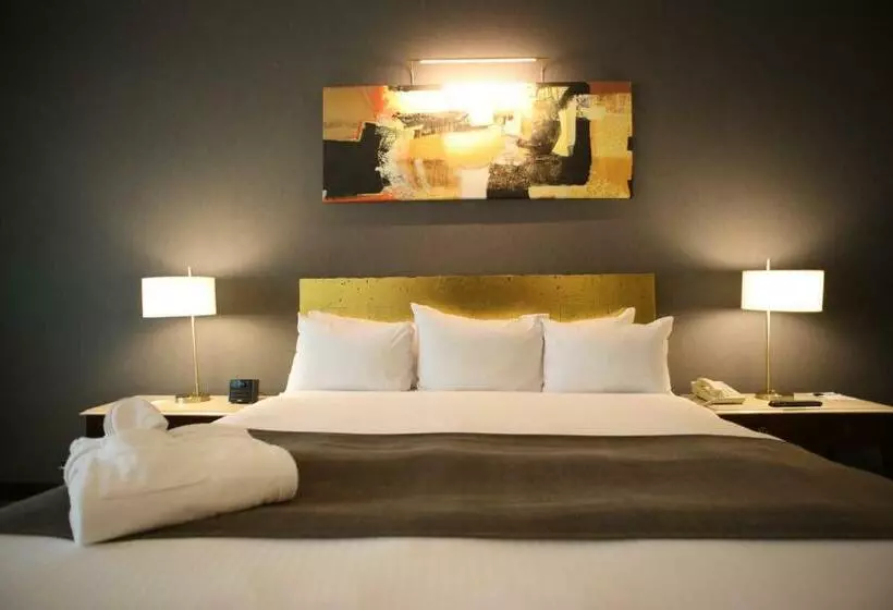 キングサイズベッドのエクゼクティブ, Radisson Montevideo Victoria Plaza
