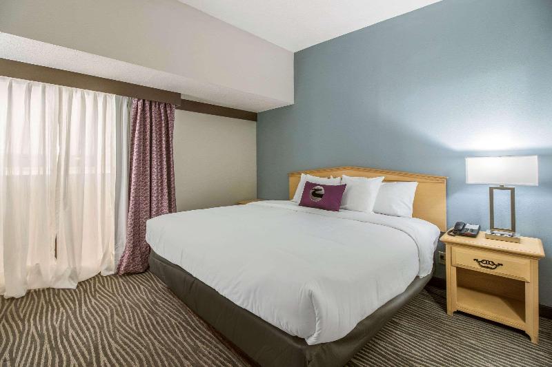 Camera Standard, The New Hotel Zeybek