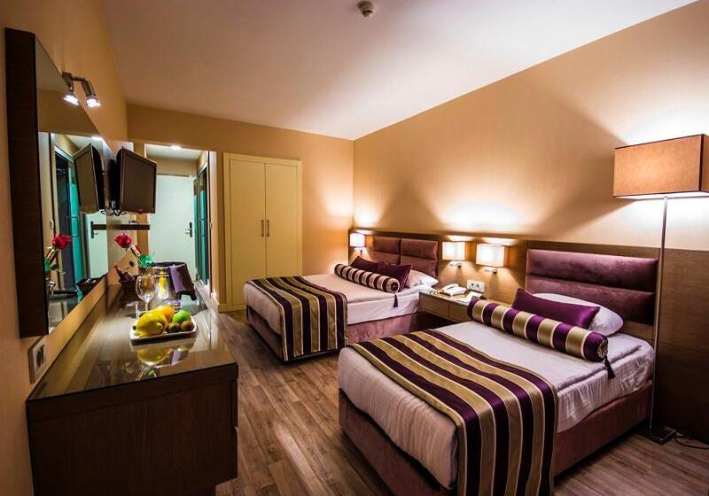 Camera Tripla Standard, The New Hotel Zeybek