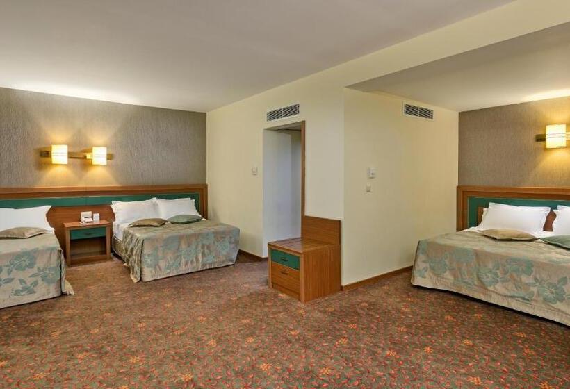 Семейный Полулюкс, özkaymak İncekum Resort