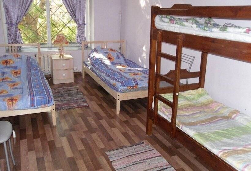 تختخواب در اتاق مشترک, Hostel Profit