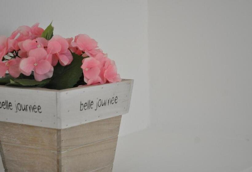 Номер Стандарт, Mimi B&b