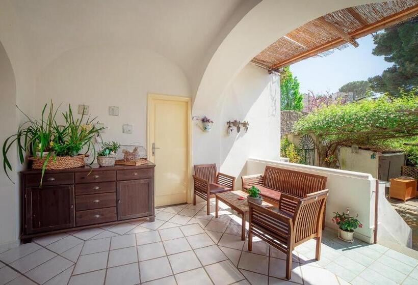 Номер Стандарт, Mimi B&b