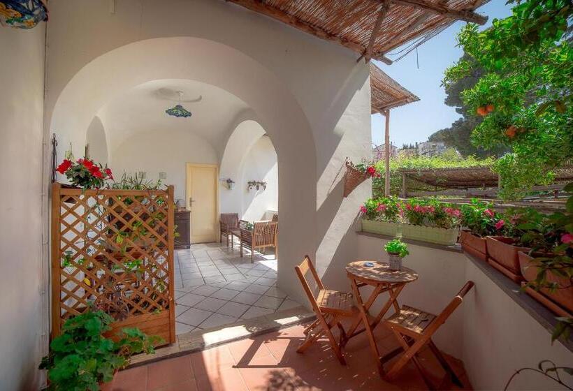 Номер Deluxe, Mimi B&b