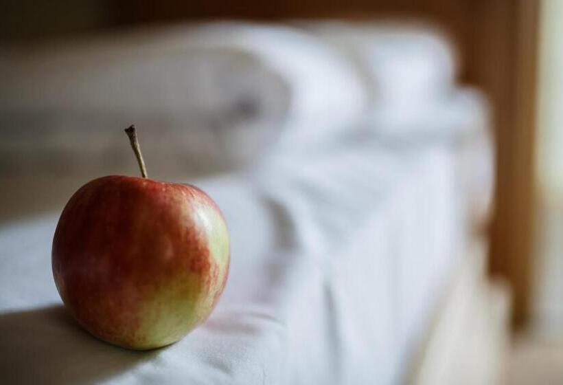 تختخواب در اتاق مشترک, Safestay Warsaw Old Town