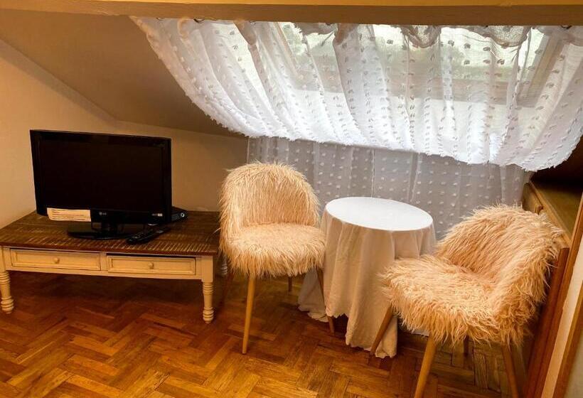 スタンダードルーム, Le Chateau De Frankie Spas Saunas