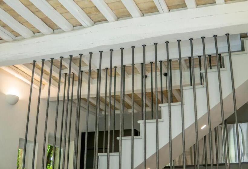 חדר פנטהאוז, Navona Open Space Apartments