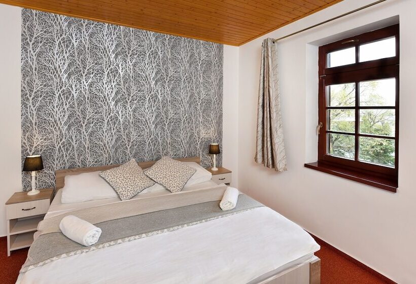 스탠다드 룸, Pension Villa Kunerad