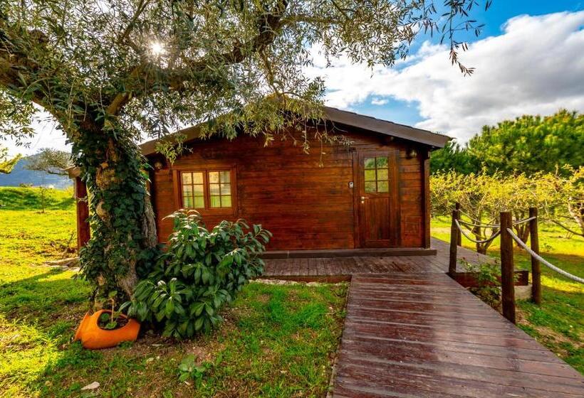 بانگلوی استاندارد, Quinta Do Quinto