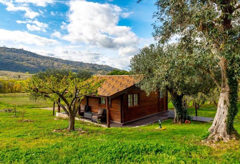 بانگلوی استاندارد, Quinta Do Quinto