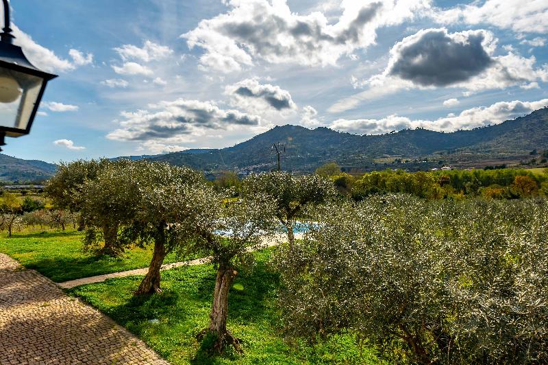اتاق استاندارد با چشم‌انداز کوهستان, Quinta Do Quinto