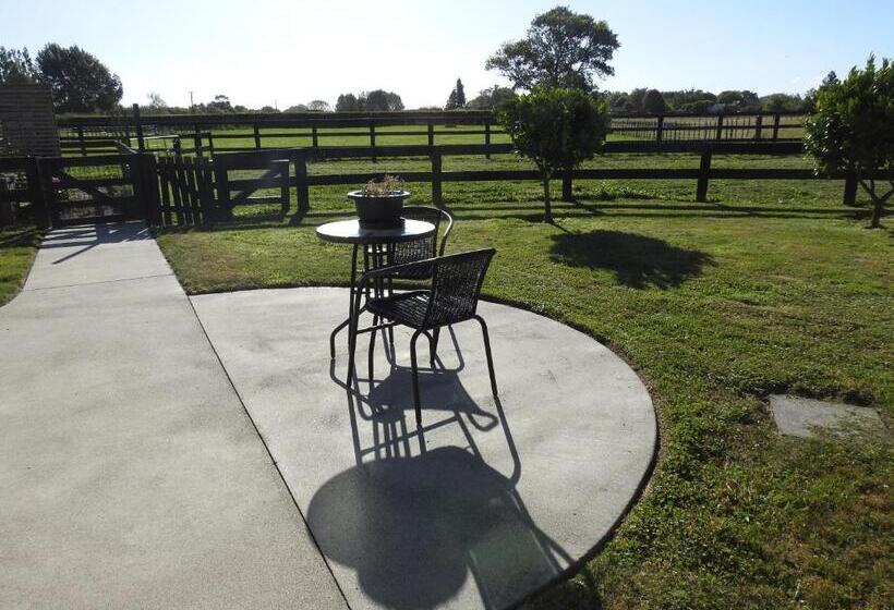 带大床的标准间, Grasslands Bed & Breakfast