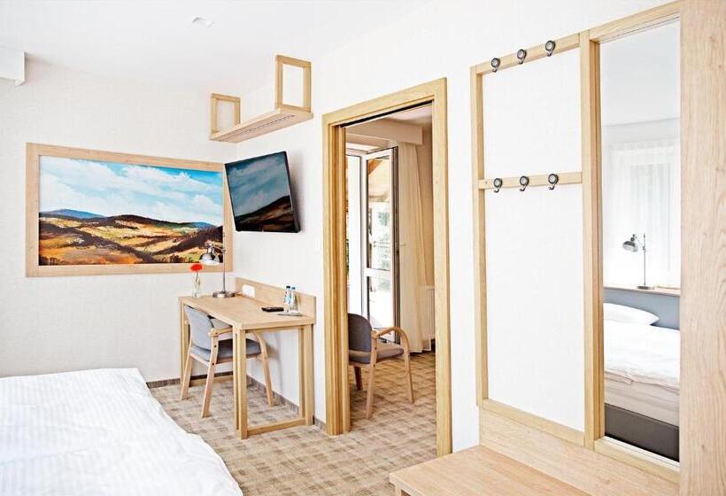 آپارتمان سوپریور 1 خوابه, Dom Wczasowy Beskidy