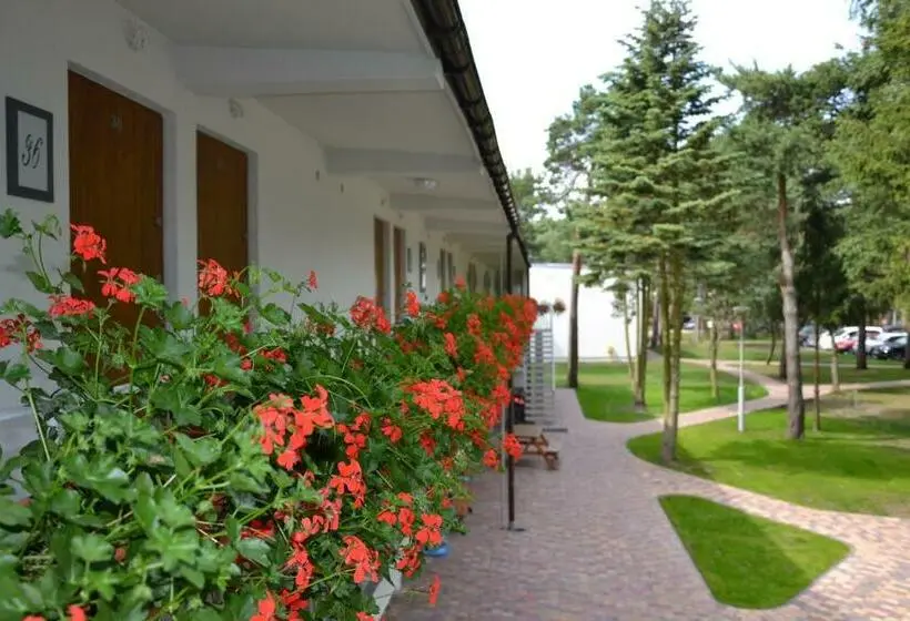 اتاق کلاسیک, Neptuno Resort & Spa