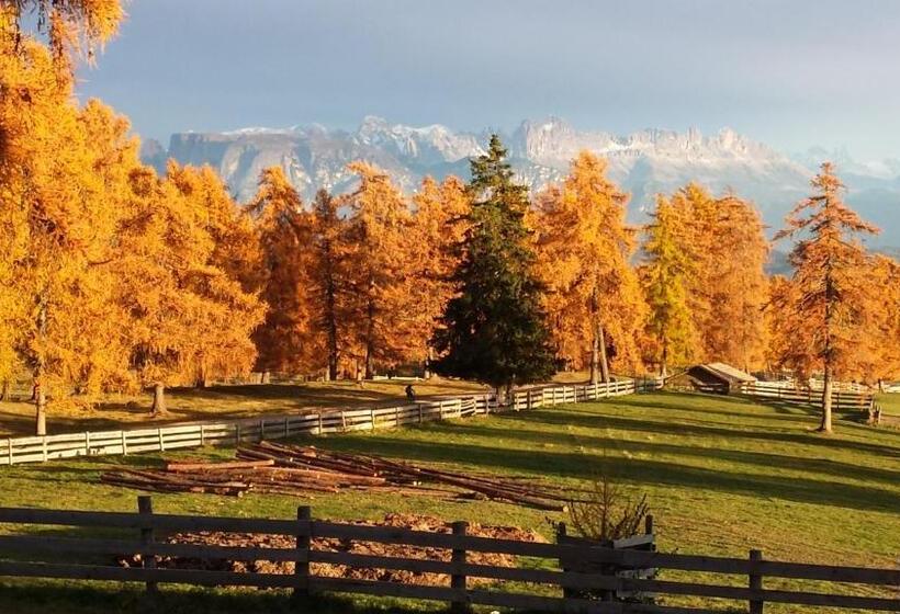 Апартаменты 2 Спальни с Балконом, Appartmenthotel Residence Elvis