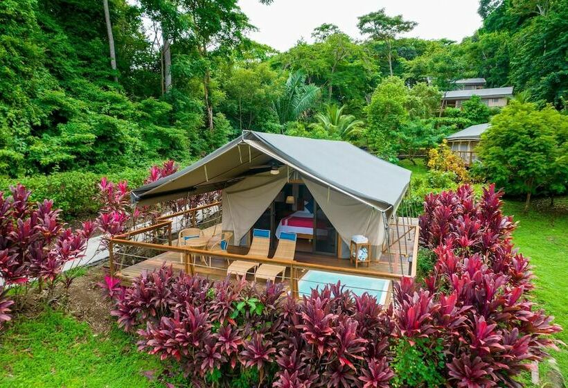 كوخ بريميوم, Isla Chiquita Glamping
