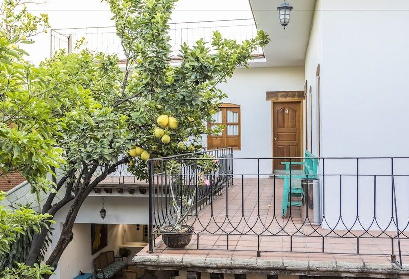 غرفة قياسية, Nana Vida Hotel Oaxaca