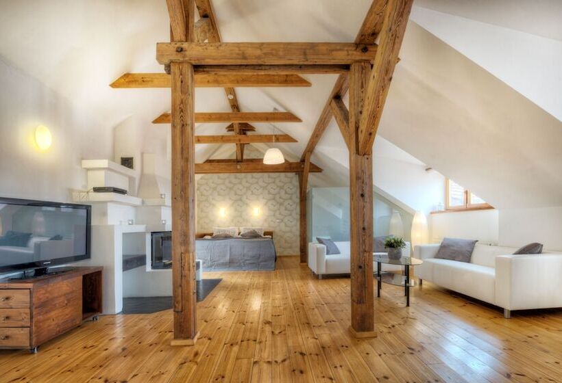 1 Bedroom Apartment City View, Residence St Havel Prague Old Town