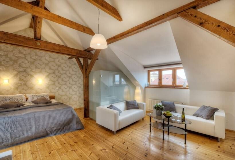 1 Bedroom Apartment City View, Residence St Havel Prague Old Town