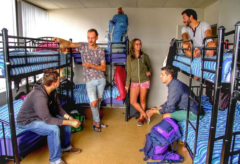 מיטה בחדר מעונות עם מקלחת משותפת, Choice Backpackers