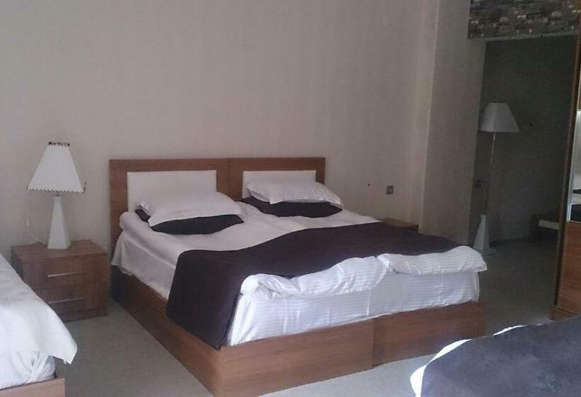 اتاق استاندارد, Palm Beach