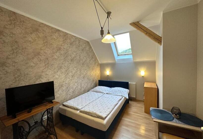 חדר סטנדרט יחיד, Dom Gościnny Gerus