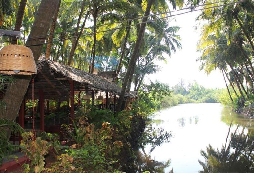 带大床的标准间, Palm Trees Ayurvedic Heritage