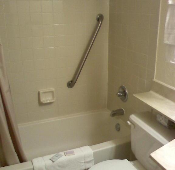 غرفة قياسية سرير كينج, American Motel Waseca